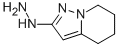 Pyrazolo[1,5-a]pyridin-2(1H)-one,  4,5,6,7-tetrahydro-,  hydrazone  (9CI) CAS#: 158355-42-1