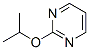 Pyrimidine, 2-(1-methylethoxy)- (9CI) CAS#: 3739-83-1