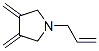 Pyrrolidine, 3,4-bis(methylene)-1-(2-propenyl)- (9CI) CAS#: 176249-80-2