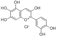 QUERCETAGETINIDIN CHLORIDE WITH HPLC CAS#: 42529-06-6