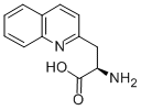 (R)-2-AMINO-3-QUINOLIN-2-YL-PROPIONIC ACID CAS#: 170421-67-7