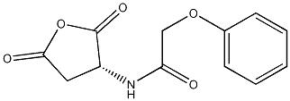 (R)-N-(2,5-dioxotetrahydrofuran-3-yl)-2-phenoxyacetamide CAS#: 4515-22-4