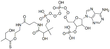 S-[2-[3-[[4-[[[5-(6-aminopurin-9-yl)-4-hydroxy-3-phosphonooxyoxolan-2-yl]methoxy-hydroxyphosphoryl]oxy-hydroxyphosphoryl]oxy-2-hydroxy-3,3-dimethylbutanoyl]amino]propanoylamino]ethyl] 3-hydroxy-2-methylpropanethioate CAS#: 319440-43-2