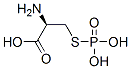 S-phosphocysteine CAS#: 115562-30-6