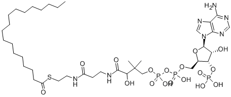 STEAROYL COENZYME A CAS#: 362-66-3