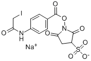 SULFO-N-SUCCINIMIDYL (N-IODOACETYL)AMINOBENZOATE CAS#: 144650-93-1