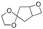 Spiro[1,3-dioxolane-2,3-[6]oxabicyclo[3.2.0]heptane]  (9CI) CAS#: 361384-63-6