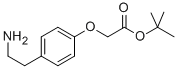 TERT-BUTYL [4-(2-AMINO-ETHYL)-PHENOXY]-ACETATE CAS#: 124499-19-0
