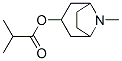 Tropine isobutyrate CAS#: 495-80-7