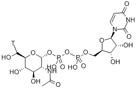 URIDINE 5'-DIPHOSPHO-N-ACETYLGLUCOSAMINE-[GLUCOSAMINE-6-3H(N)] CAS#: 152585-48-3