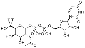 URIDINE DIPHOSPHATE N-ACETYL-D-GALACTOSAMINE, [GALACTOSAMINE-6-3H(N)] CAS#: 33044-38-1