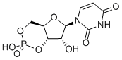 Uridine 3',5'-cyclic monophosphate CAS#: 4004-57-3