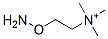 aminocholine CAS#: 38170-37-5