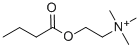 butyrylcholine CAS#: 3922-86-9