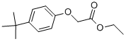 ethyl [4-(1,1-dimethylethyl)phenoxy]acetate CAS#: 3344-19-2