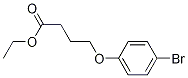 ethyl 4-(4-broMophenoxy)butanoate CAS#: 157245-87-9