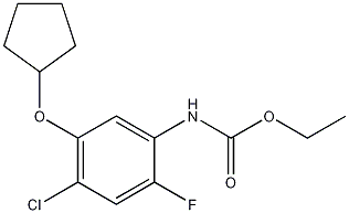 ethyl 4-chloro-5-(cyclopentyloxy)-2-fluorophenylcarbamate CAS#: 141772-35-2