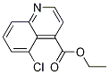 ethyl 5-chloroquinoline-4-carboxylate CAS#: 116557-07-4