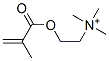 methacrylylcholine CAS#: 33611-56-2