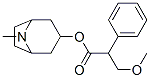 methylatropine CAS#: 31610-87-4