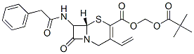 pivaloyloxymethyl 7-phenylacetamido-3-vinyl-3-cephem-4-carboxylate CAS#: 146383-05-3