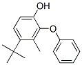 t-BUTYL METHYLPHENOXY PHENOL CAS#: 307000-42-6