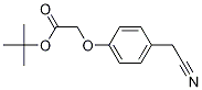 tert-Butyl 2-[4-(cyanoMethyl)phenoxy]acetate CAS#: 124499-21-4
