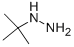 tert-Butyl hydrazine CAS#: 32064-67-8