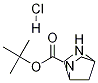 tert-butyl 2,5-diazabicyclo[2.2.1]heptane-2-carboxylate hydrochloride CAS#: 134003-84-2
