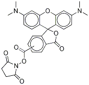 tetramethylrhodamine succinimidyl ester CAS#: 122363-35-3