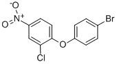 1-(4-bromophenoxy)-2-chloro-4-nitrobenzene CAS#: 355808-90-1