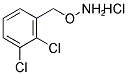 1-[(AMMONIOOXY)METHYL]-2,3-DICHLOROBENZENE CHLORIDE CAS#: 317821-70-8