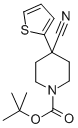 1-N-BOC-4-(2-THIENYL)PIPERIDINE-4-CARBONITRILE CAS#: 167263-68-5