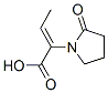 1-Pyrrolidineaceticacid,alpha-ethylidene-2-oxo-,(alphaZ)-(9CI) CAS#: 358629-39-7