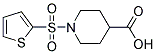 1-(THIOPHENE-2-SULFONYL)-PIPERIDINE-4-CARBOXYLIC ACID CAS#: 327971-19-7