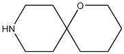 1-oxa-9-azaspiro[5.5]undecane CAS#: 42578-08-5