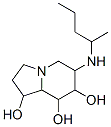 1,7,8-Indolizinetriol, octahydro-6-(1-methylbutyl)amino- CAS#: 156205-81-1