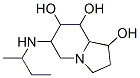 1,7,8-Indolizinetriol, octahydro-6-(1-methylpropyl)amino- CAS#: 156205-79-7