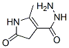1H-Pyrrole-3-carboxylicacid,4,5-dihydro-2-methyl-5-oxo-,hydrazide(9CI) CAS#: 145888-70-6