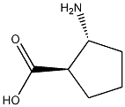 (1R,2R)-2-amino-cyclopentanecarboxylic acid CAS#: 40482-05-1