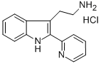 2-(2-PYRIDIN-2-YL-1H-INDOL-3-YL)ETHANAMINE MONOHYDROCHLORIDE CAS#: 374064-08-1