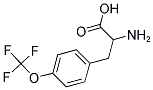 2-AMINO-3-(4-TRIFLUOROMETHOXY-PHENYL)-PROPIONIC ACID CAS#: 174732-57-1