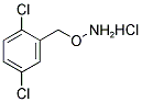 2-[(AMMONIOOXY)METHYL]-1,4-DICHLOROBENZENE CHLORIDE CAS#: 317821-71-9