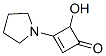 2-Cyclobuten-1-one, 4-hydroxy-3-(1-pyrrolidinyl)- (9CI) CAS#: 334992-90-4