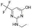 2-(ETHYLAMINO)-6-(TRIFLUOROMETHYL)-4-PYRIMIDINOL CAS#: 338792-66-8