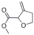 2-Furancarboxylicacid,tetrahydro-3-methylene-,methylester(9CI) CAS#: 155190-06-0
