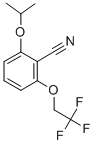 2-ISOPROPOXY-6-(2,2,2-TRIFLUOROETHOXY)BENZONITRILE CAS#: 175204-05-4