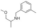 (2-METHOXY-1-METHYL-ETHYL)-(3-METHYL-BENZYL)-AMINE CAS#: 356092-84-7