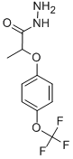 2-METHYL-2-[4-(TRIFLUOROMETHOXY)PHENOXY]ACETIC ACID HYDRAZIDE CAS#: 175204-37-2