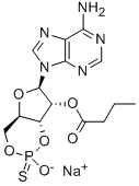 2'-O-MONOBUTYRYLADENOSINE-3',5'-CYCLIC MONOPHOSPHOROTHIOATE, RP-ISOMER SODIUM SALT CAS#: 152218-23-0